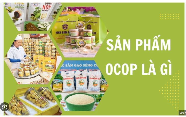 Sản phẩm OCOP là gì? giải pháp đột phá kinh doanh khi kết hợp với moma marketing